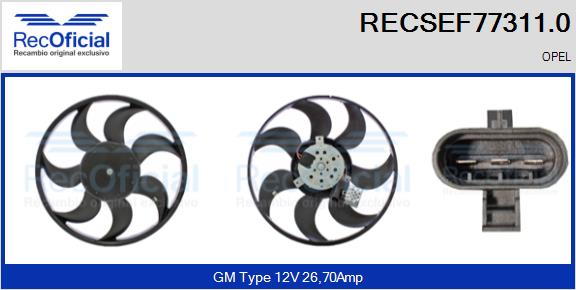 RECSEF77311.0