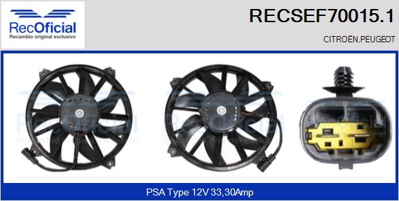 RECSEF70015.1