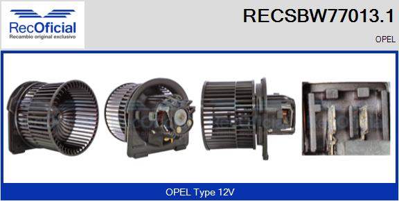 RECSBW77013.1