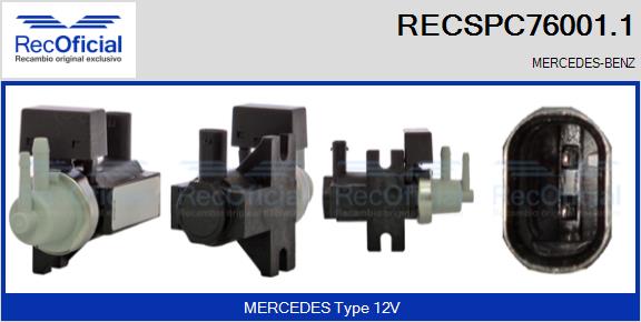 RECSPC76001.1