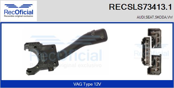 RECSLS73413.1