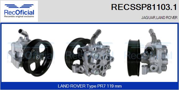 RECSSP81103.1