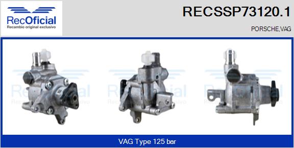 RECSSP73120.1