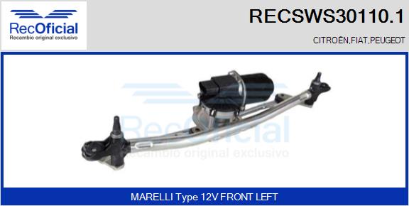 RECSWS30110.1