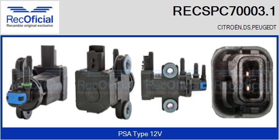 RECSPC70003.1