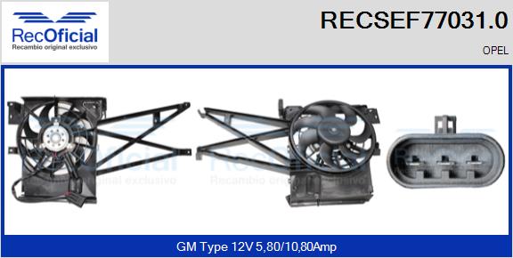 RECSEF77031.0