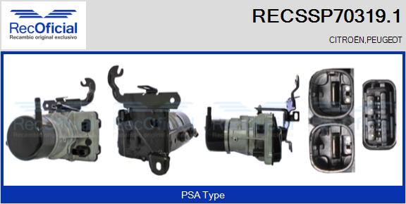 RECSSP70319.1