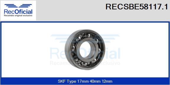 RECSBE58117.1