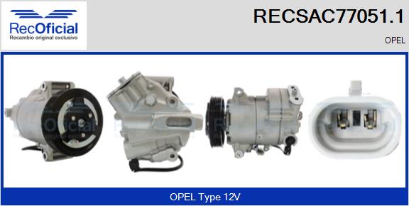 RECSAC77051.1