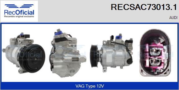 RECSAC73013.1