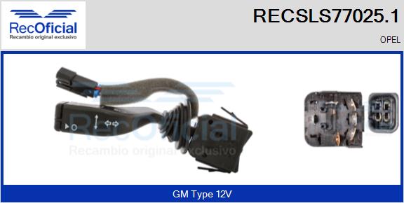 RECSLS77025.1
