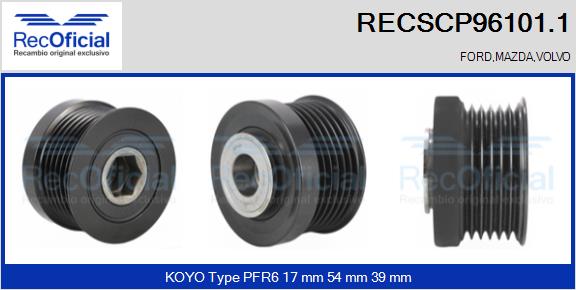 RECSCP96101.1