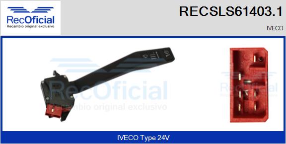 RECSLS61403.1