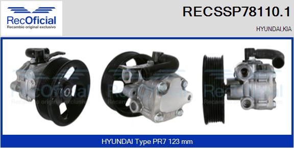 RECSSP78110.1