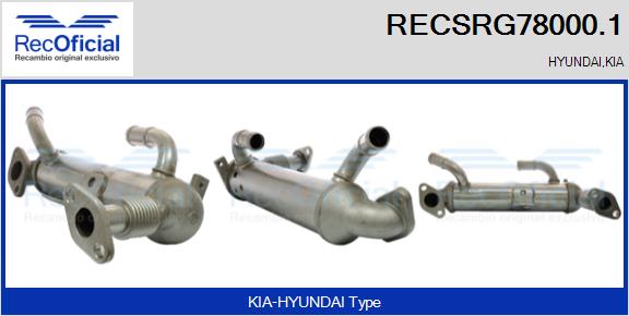 RECSRG78000.1