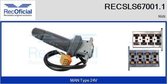 RECSLS67001.1