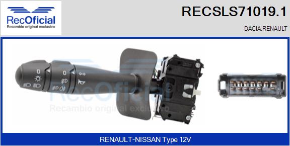 RECSLS71019.1
