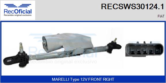RECSWS30124.1