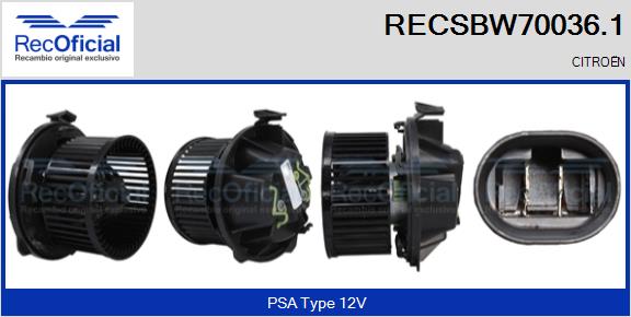 RECSBW70036.1