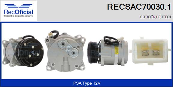 RECSAC70030.1