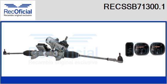 RECSSB71300.1