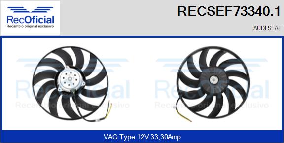 RECSEF73340.1