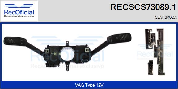 RECSCS73089.1