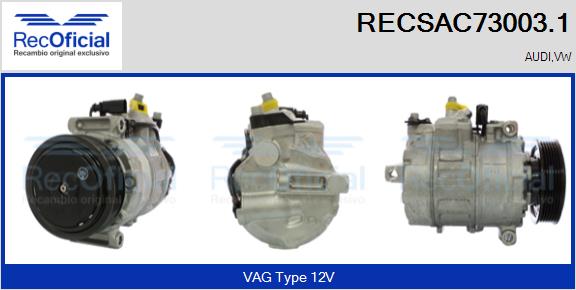 RECSAC73003.1