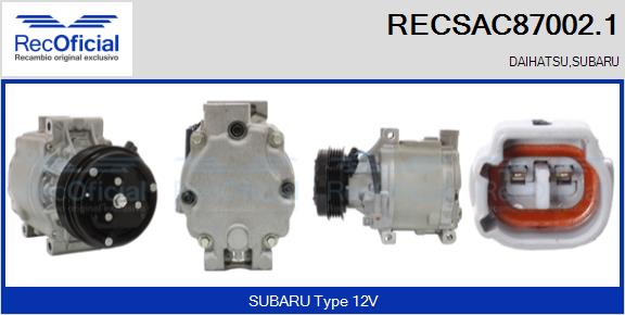 RECSAC87002.1