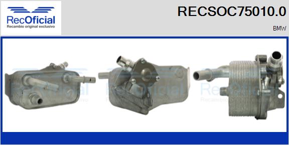RECSOC75010.0