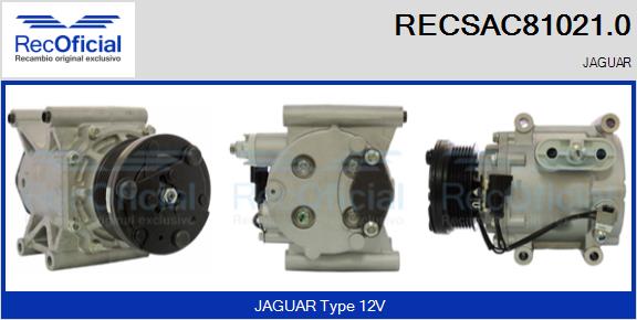 RECSAC81021.0