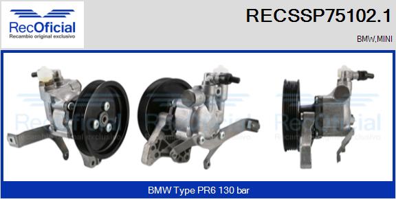 RECSSP75102.1