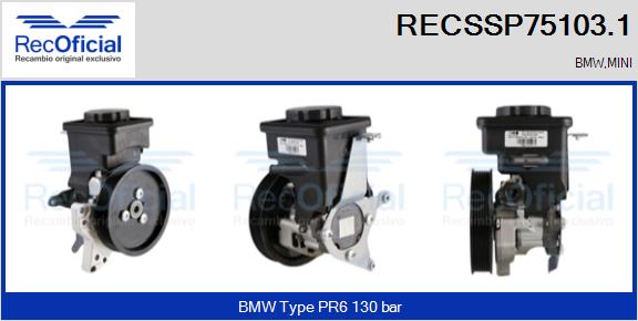 RECSSP75103.1