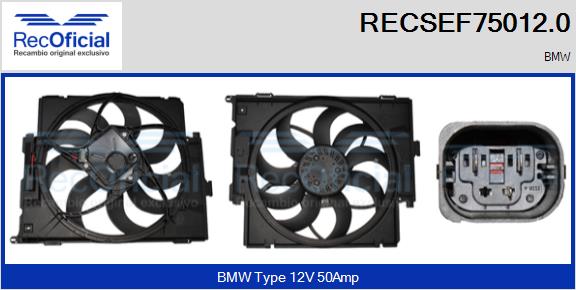 RECSEF75012.0
