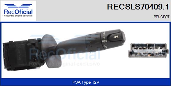 RECSLS70409.1