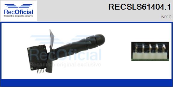 RECSLS61404.1