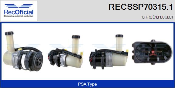 RECSSP70315.1