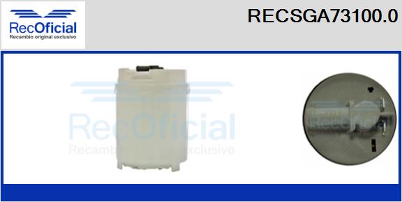 RECSGA73100.0