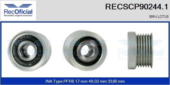 RECSCP90244.1