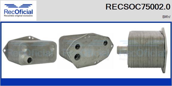 RECSOC75002.0