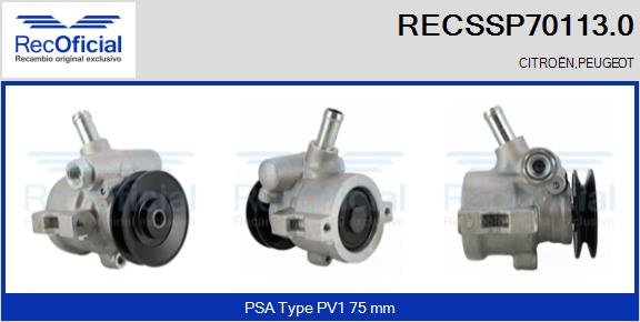 RECSSP70113.0