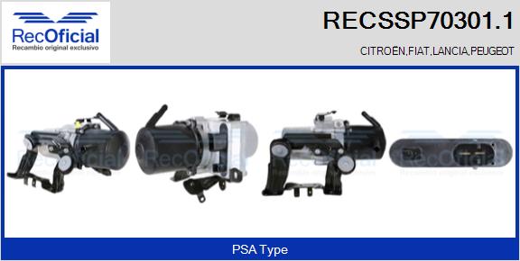 RECSSP70301.1