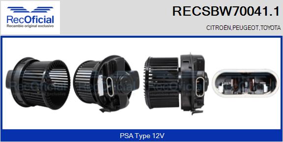 RECSBW70041.1