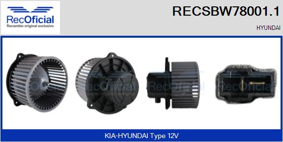 RECSBW78001.1