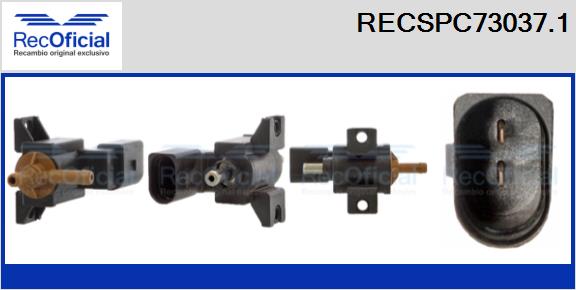 RECSPC73037.1