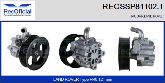 RECSSP81102.1