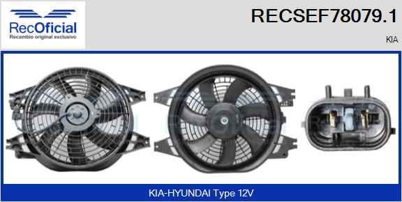 RECSEF78079.1
