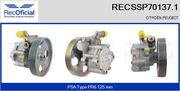 RECSSP70137.1