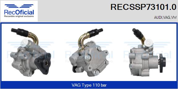 RECSSP73101.0