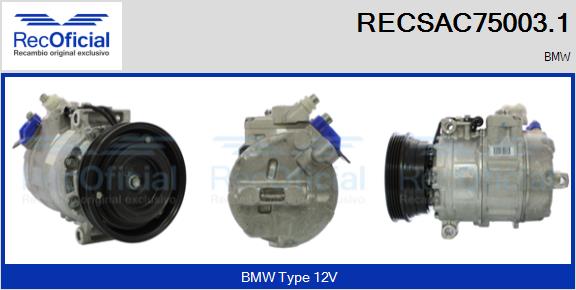 RECSAC75003.1